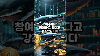 고래들, 비트코인(BTC) 매집으로 상승 랠리 적극 참여 (25년04월25일)