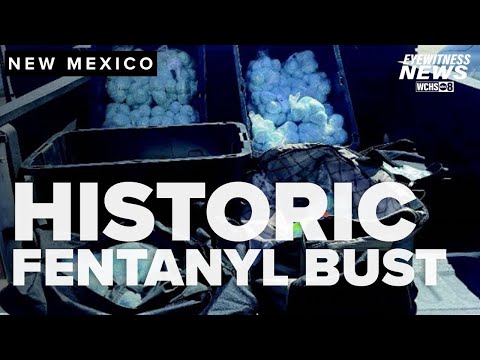 DOJ historic fentanyl bust is big step toward safety, bigger hit to cartels