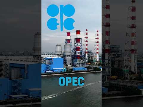 OPEC countries🛢️🌍 #opec #countries #geopolitics #oil  #petrol