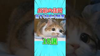 お前の住所当てられたら即脱落www #shorts #クイズ