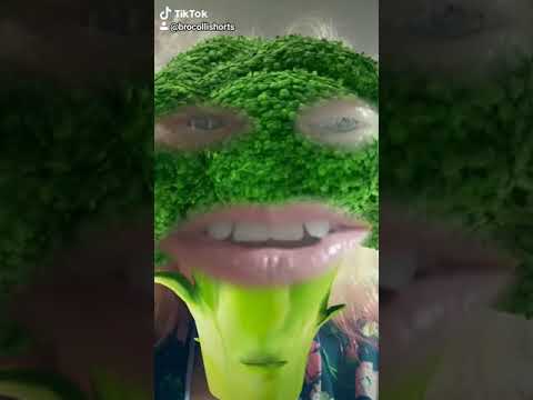 Broccolishorts Cruciferous plant