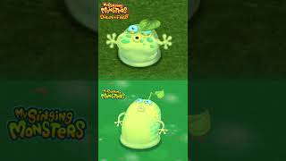 Which Sponge the best?? #msm #mysingingmonstersdawnoffire
