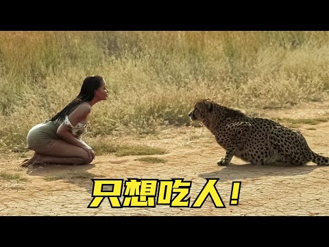 只想吃人！猎豹如何接受女孩的帮助？8个被人类帮助的动物