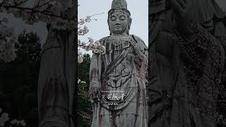 blossoms and bodhisattvas 🌸