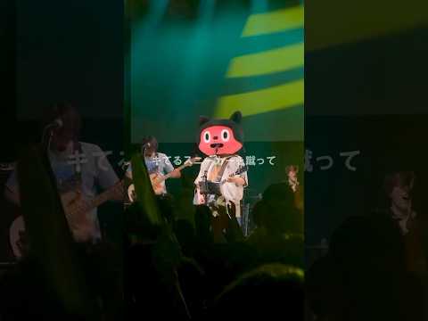 「#イケてるパーカー」 from BOROSTYLE#ぼっちぼろまるを最近知った人へ。 #YouTubeMusicWeekend で公開したLIVE「BOROSTYLE」、アーカイブ配信中です！！！！