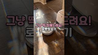 그냥 딱 정해드려요! 로봇청소기 추천 #로봇청소기 #로봇청소기추천 #로보락로봇청소기