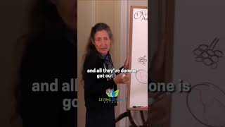 What are the eight laws of health? Ep.11 #shorts #air #LivingSpringsRetreat #natureretreat #naturelo