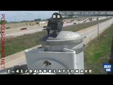 Milwaukee County Police Scanner - Officer Bird - In Real Time!