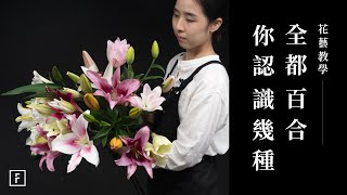 喜歡百合花香，但花粉總是掉滿桌？新手選百合，這樣挑最安全！｜花藝教學｜花裡 FORi Flower