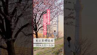 2024櫻花開花又延遲😱現在人在東京能去哪裡看櫻花？9景點統整 #東京 #櫻花 #賞櫻 #日本旅行
