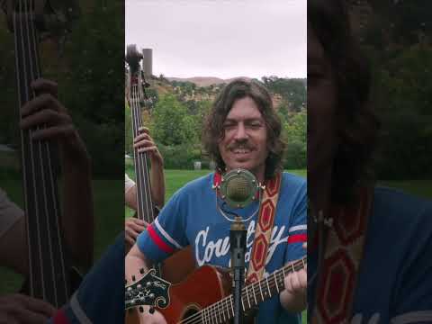 A little three part harmony for ya 🌲Tops of the Trees🌳