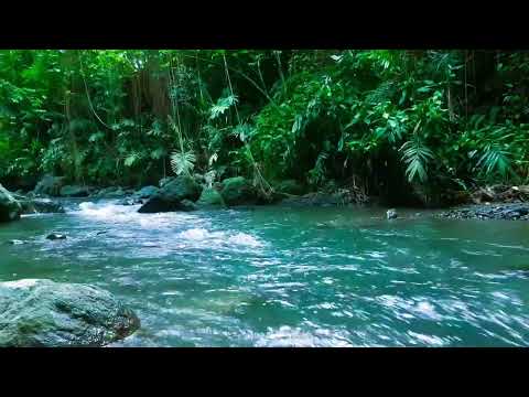 Relaxing River Sound White Noise keeps the soul calm, for studying, for sleeping, Stress Relief