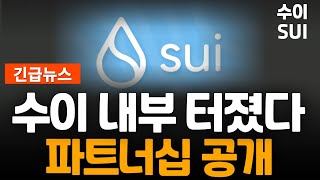 ※긴급속보※ 수이 퍼지펭귄 파트너십 공개! 수이 진짜 간다