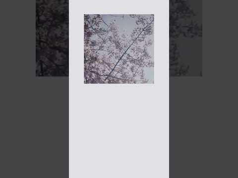 新曲 A inst - New Song Verse inst #須田景凪  #newmusic