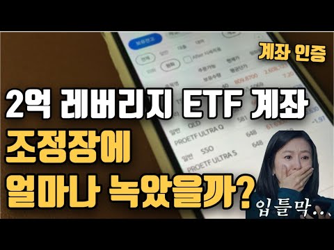 레버리지 ETF 투자자의 추가 매수 내역 l TQQQ QLD 테슬라 미국주식