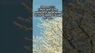 Faith defined. 48 #Faith #Faithwalk #dailyword #scripture