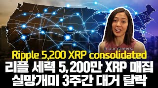 리플 세력, 5,200만 XRP 매집 종료! 지금 마지막 매집중, “실망 개미 지난 3주간 대거 탈락, 지금이니!”