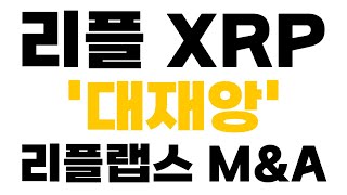 [리플 XRP 엑스알피] 새벽속보 '대재앙' 리플랩스 M&A
