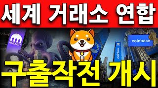 베이비도지코인 거래소에서 움직였다!!과연 베이비도지의 선택은!?