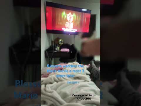 Blossom likes the Mario movie #dragon #paperdragonpuppet #dragonpuppeteer