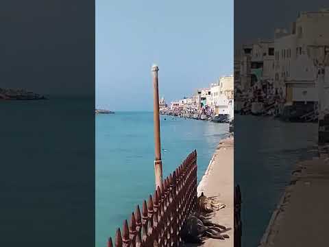 Jay Dwarkadhish
