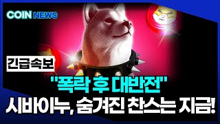[시바이누 코인] 🌪 폭락 후 대반전?! 시바이누 코인, 숨겨진 찬스 지금이다! 🎢🚀