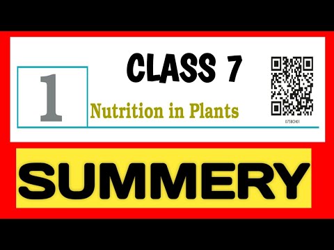 Nutrition in Plants class 7 Full Summary