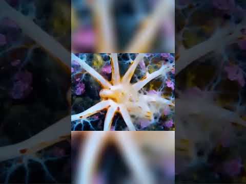 Most Unbelievable Moments Ever Caught On Camera #shortsviral #viralvideo