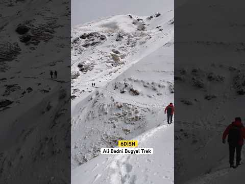 Ali Bedni Bugyal trek #alibednibugyaltrek #discoveryhike