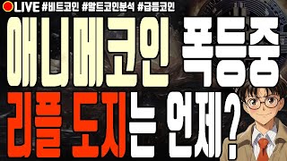 [실시간] 애니메코인 폭등중 리플 도지코인은 언제?! 솔레이어 넥스페이스 만트라 알트코인 폭락 5월 23일 오전 라이브 비트코인 불장