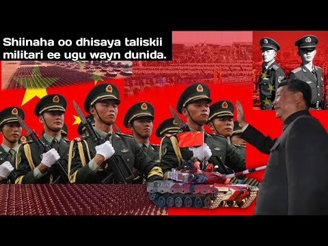 ITOOBIYA: Jabhadda Oromada oo ciidamo hor leh tababarayso iyo Iiraan oo ka digtay weerar..