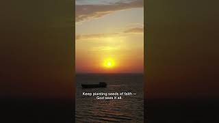 God Sees Your Quiet Obedience #ChristianEncouragement #GodSeesYou #PlantSeeds #FaithOverFame