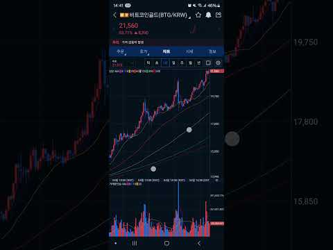 비트코인골드 상폐빔 #1