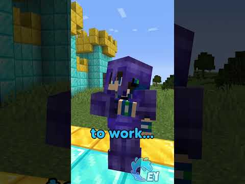 POV: You're Really Rich in Minecraft…