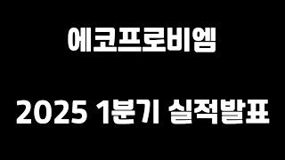 에코프로비엠 25년도 1분기 실적발표 및 Q&A
