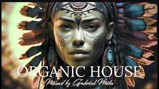 Organic House Mix #2 2025 mixed by Gabriel Miko