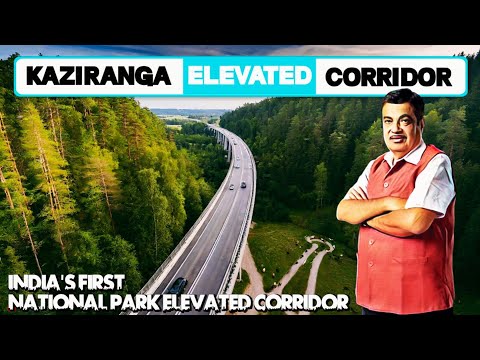 Elevated Corridor and Road Upgradation Project on Kaziranga National Park || Assam Infrastructure