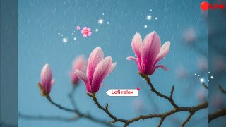 Raining in Osaka ☔| Chill Lofi HipHop Beats for Relaxing, Studying & Sleeping
