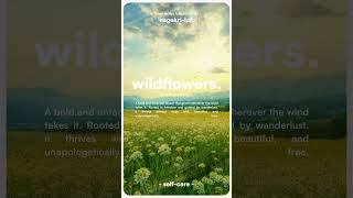 wildflowers #lofi #wildflowers #lofiforstudy #music #wildplants #lofihiphopmix #lofihiphop #chillhop