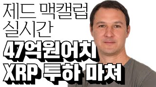[속보] 제드 맥캘럽 실시간, "47억원어치 XRP 투하 마쳐" #리플