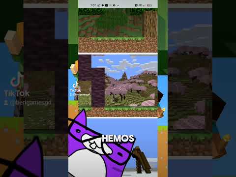 dato random con beri pt 1 #minecraft #curiosidades