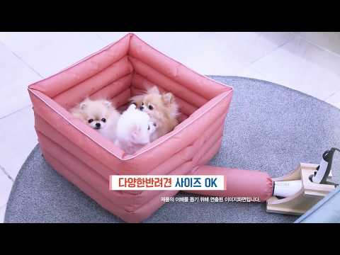 펫스니즈 뷰티