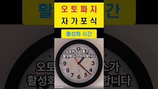 오토파지 자가포식은 언제 활성화될까요? 내 몸 디톡스의 시간.