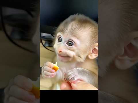 Cute monkey smile 🥰