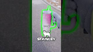 At what height will Stanley Cup break? 🤪💥#shorts #funny