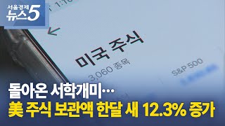 돌아온 서학개미…美 주식 보관액 한달 새 12.3% 증가