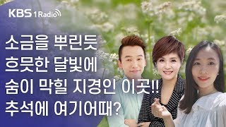 [라디오 전국일주] 소금을 뿌린듯 흐믓한 달빛에 숨이 막힐 지경인 이곳!! 추석에 여기어때? (09월10일)