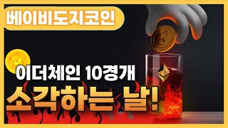 베이비도지코인 이더체인 10경개 소각하는 날! 【베이비도지코인 알아보기】