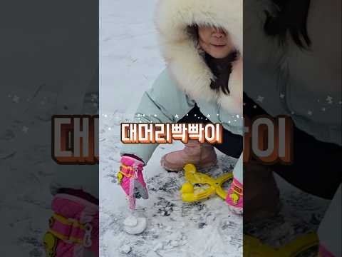 눈오리의 배신