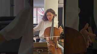 Vivaldi - Cello Concerto in A Minor
